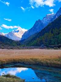 去稻城亞丁看山。