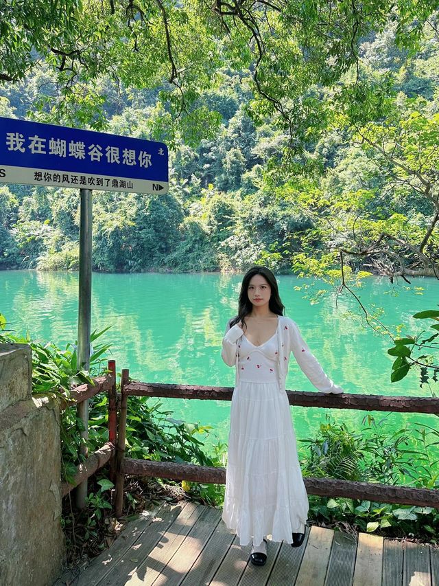 肇慶蝴蝶谷。
