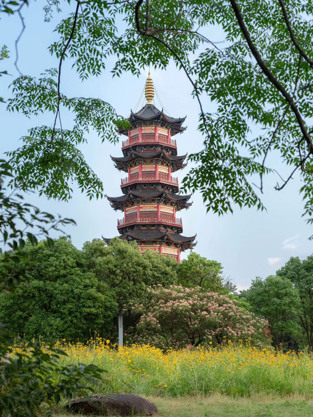 南昌！不推薦象湖公園你糊塗啊！！！。