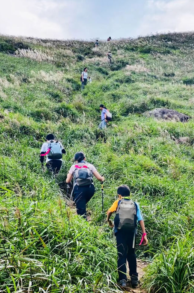 滿山的蘆葦和草甸 秋天版的南山。