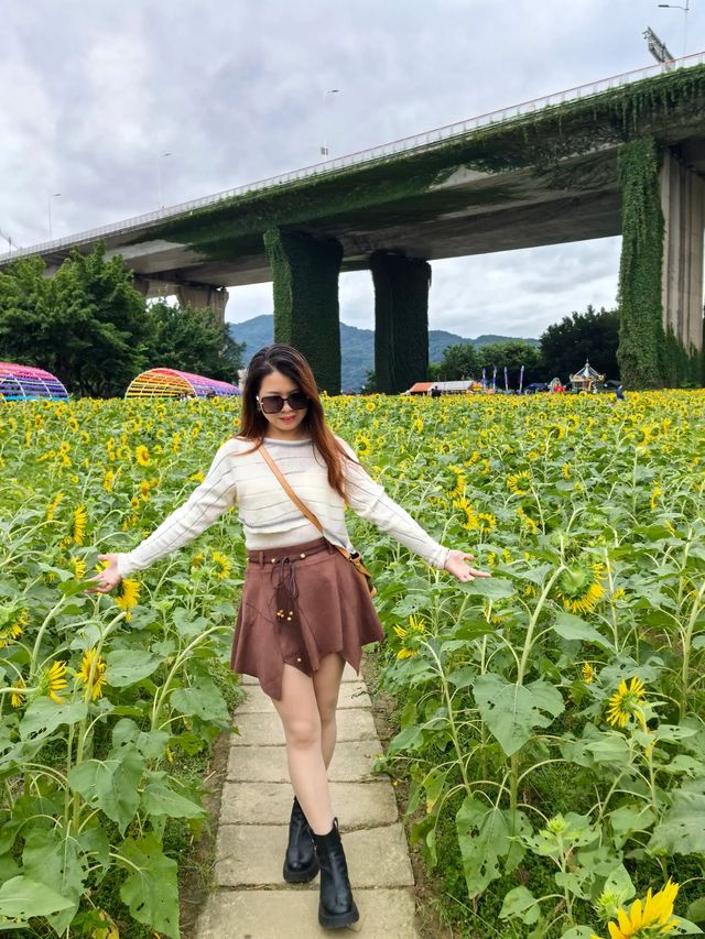 花海尋芳，邂逅美好。