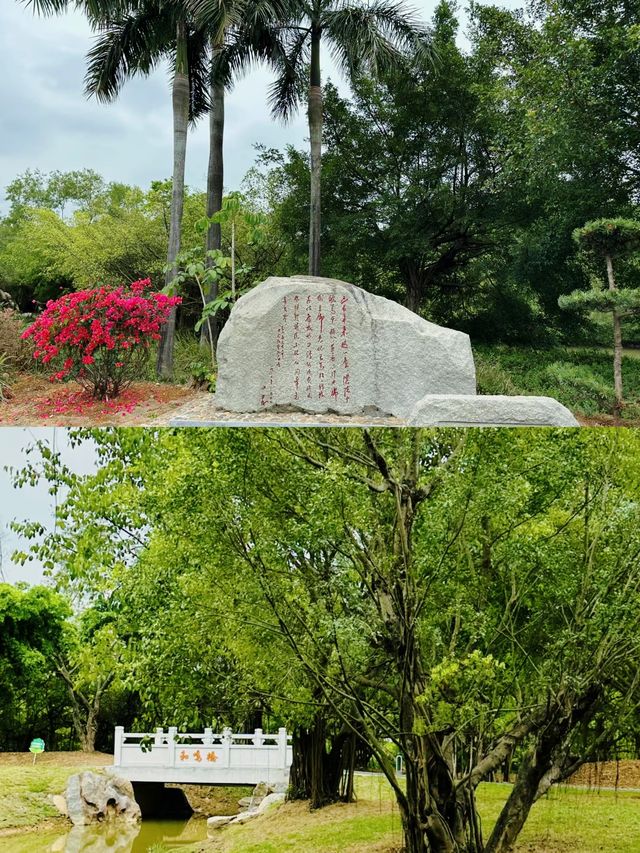江門的秘境！與小鳥共享自然和諧之美。