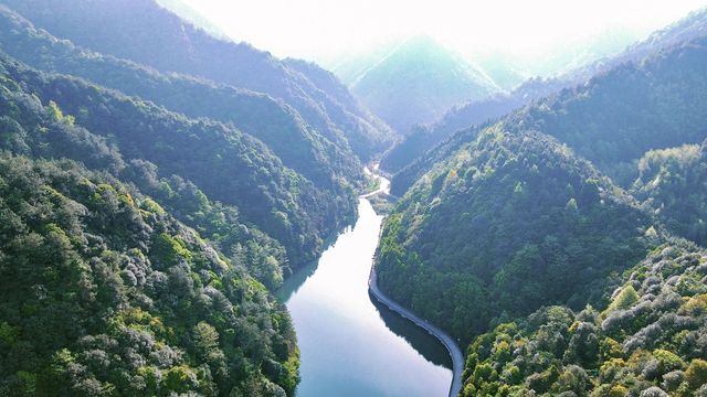 問山書院民宿。