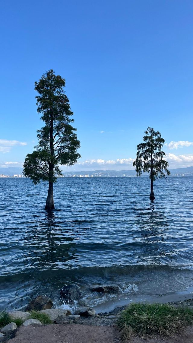 雲南大理｜洱海｜在這裡風和自由才更勝一籌。