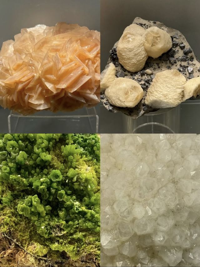 中國地質博物館寶貝多多。