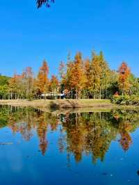 福州閩江公園|福州的浪漫，閩江公園佔一半。