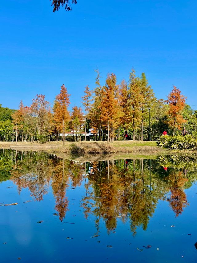 福州閩江公園|福州的浪漫，閩江公園佔一半。