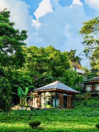 雲南的酒店｜讓我住進山水茶園中。