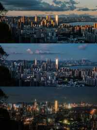 深圳南山公園絕佳觀景台，看城市夜色傾城。