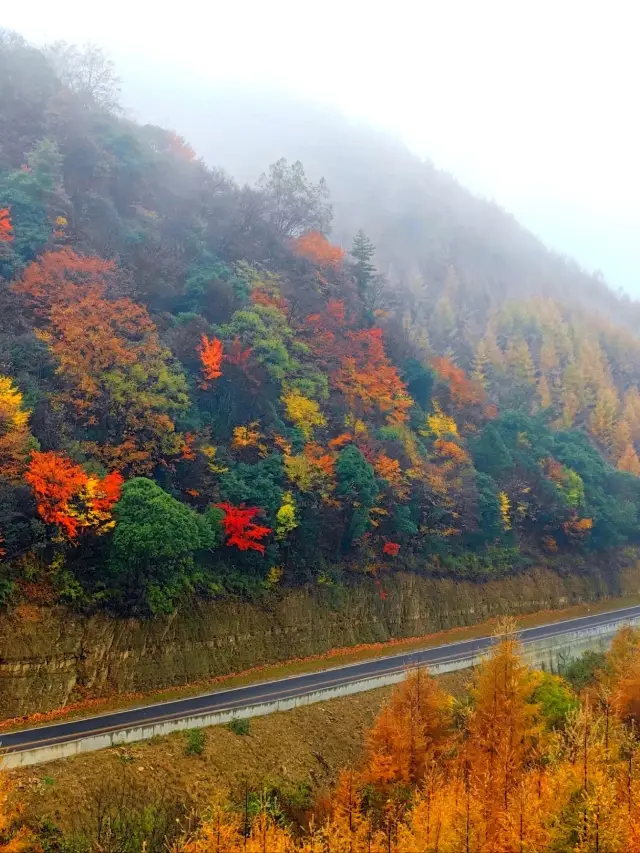 5-Day Guangyuan Tour: Don't Miss the Beautiful Autumn Scenery!