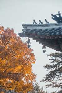 獨樂寺 | 無上國寶，獨一無二。