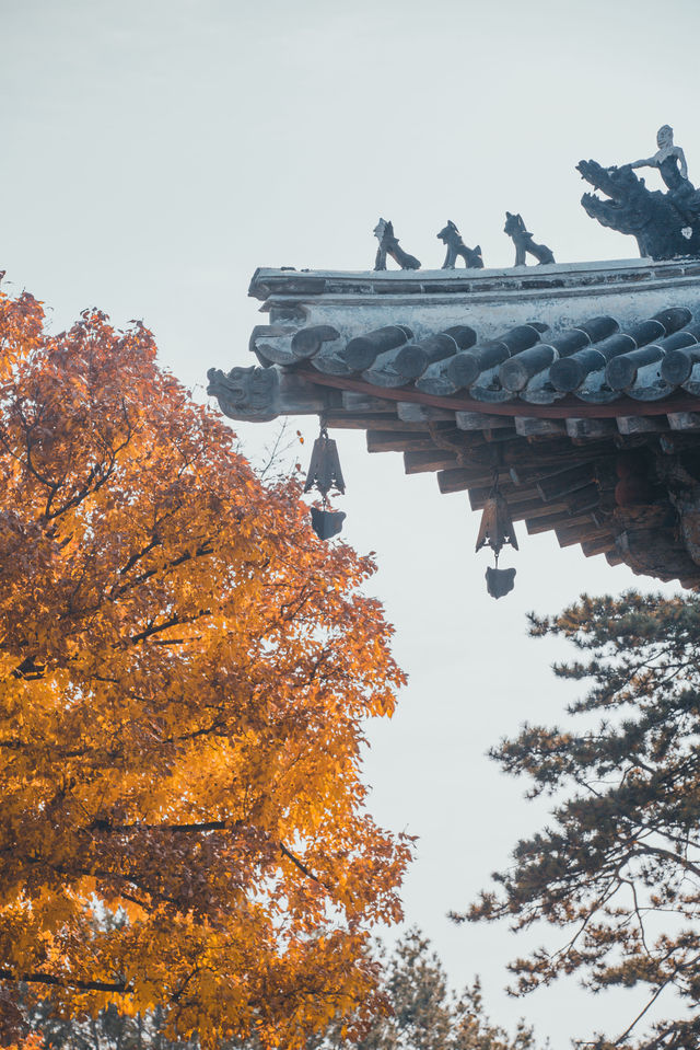 獨樂寺 | 無上國寶，獨一無二。
