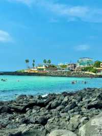 Discovering the Hidden Gem of Aewol-eup in Jeju Island