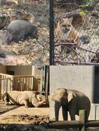 紅山森林動物園遊玩攻略｜這一篇就夠了。