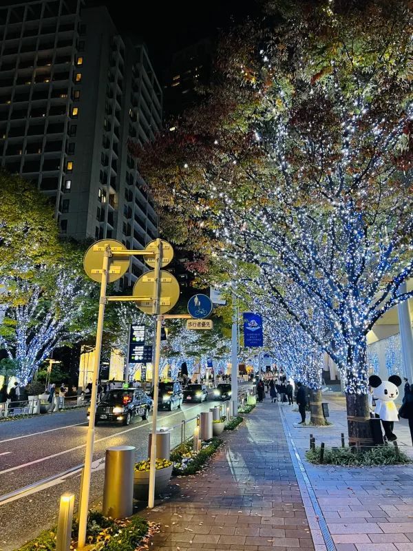 Roppongi Christmas 2022 has begun