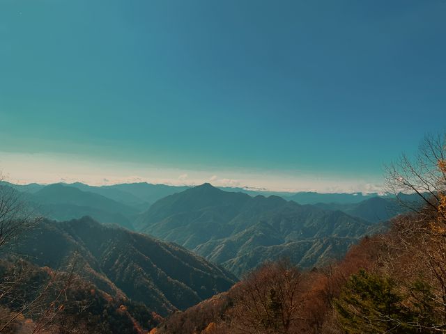 寶雞周邊｜太白黃柏塬賞秋攻略。