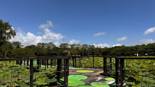 廣州南沙濕地公園｜最美濕地公園讓我們一起拍個美美的照片