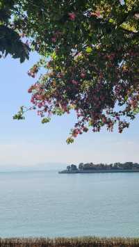 冬天深圳后海中心河公園逛一逛