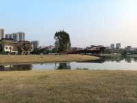陳村新開發的公園！露營釣魚放風箏踩單車一園俱全