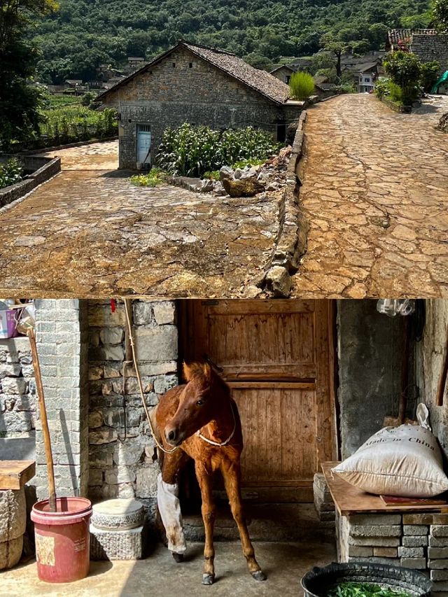 救命！我在貴州旅遊踩坑了！