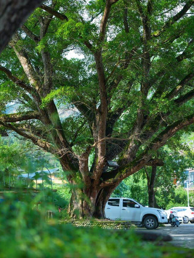 到榕江觀看村超，入住鄉賢居民宿