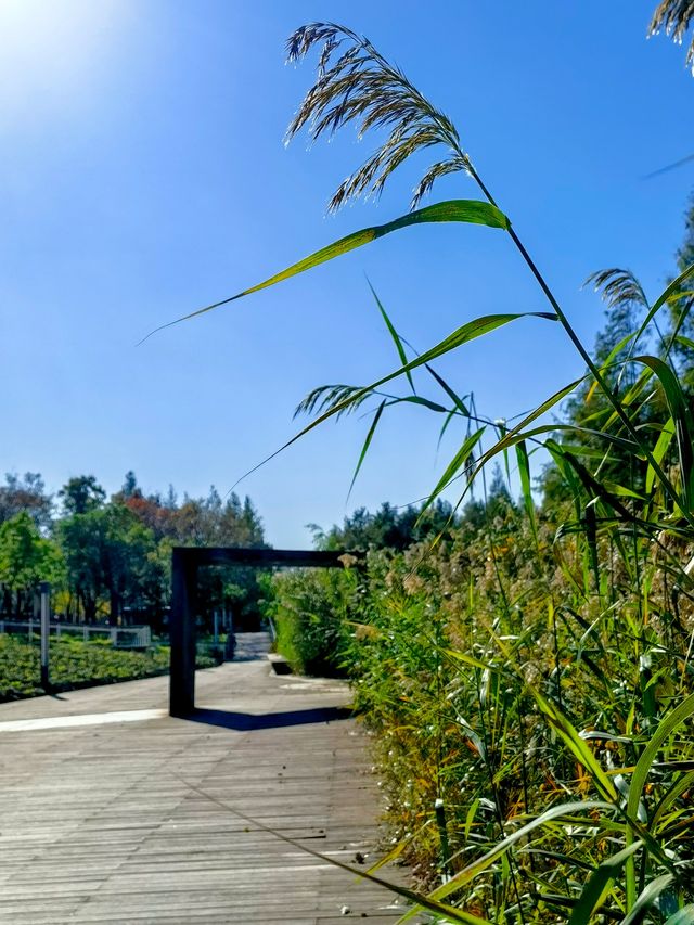 美麗的秋冬景觀 美麗的秋冬景觀