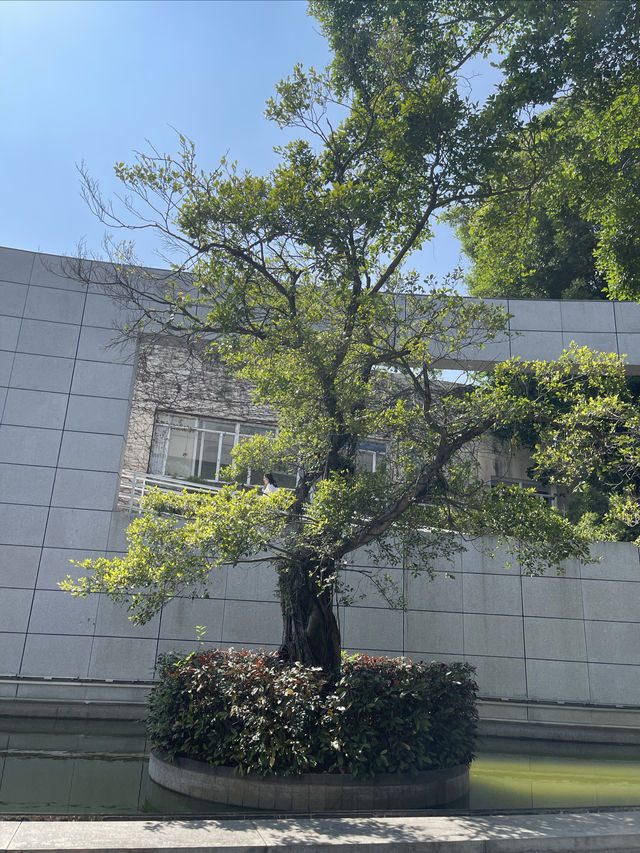 今日打卡高雅展覽館｜何香凝美術館