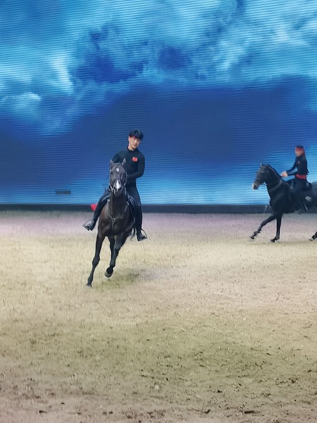 烏魯木齊‖汗血寶馬基地一定要去！