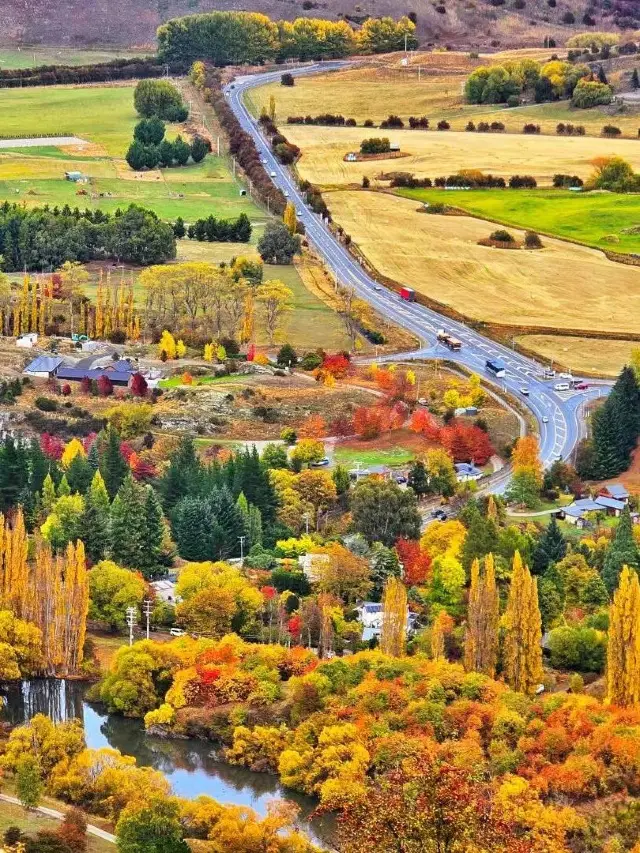 9-Day New Zealand Tour: Detailed Guide