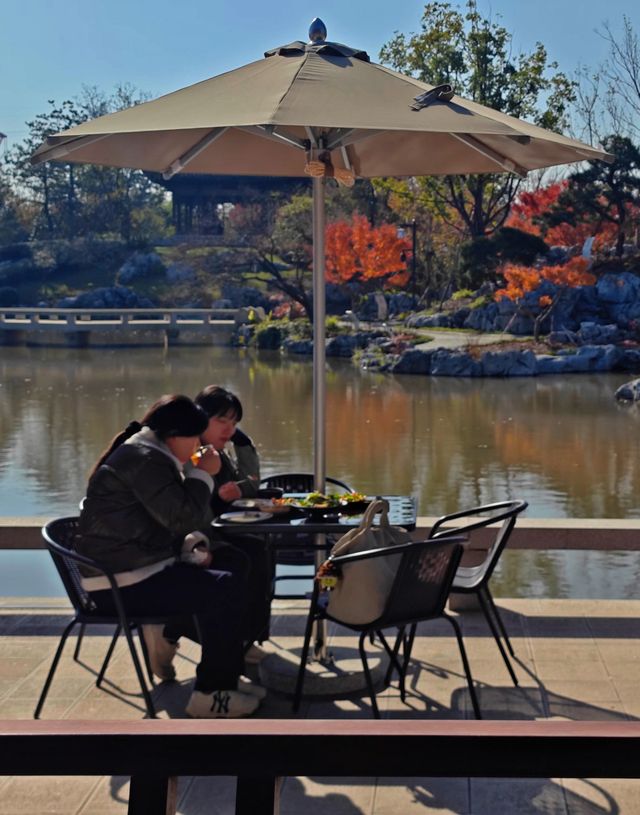 打卡濱江森林公園滈園