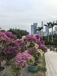 深圳蓮花山公園親子遊體驗之旅