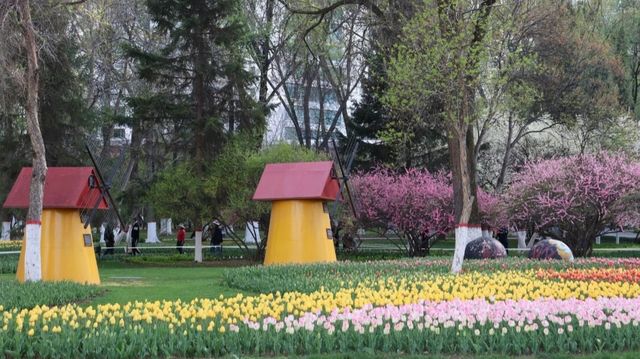 西寧人民公園，