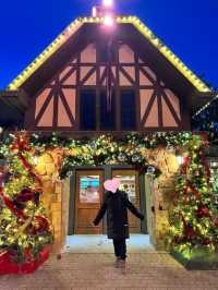 Experience the Magic of Canada's Wonderland's Winter Carnival