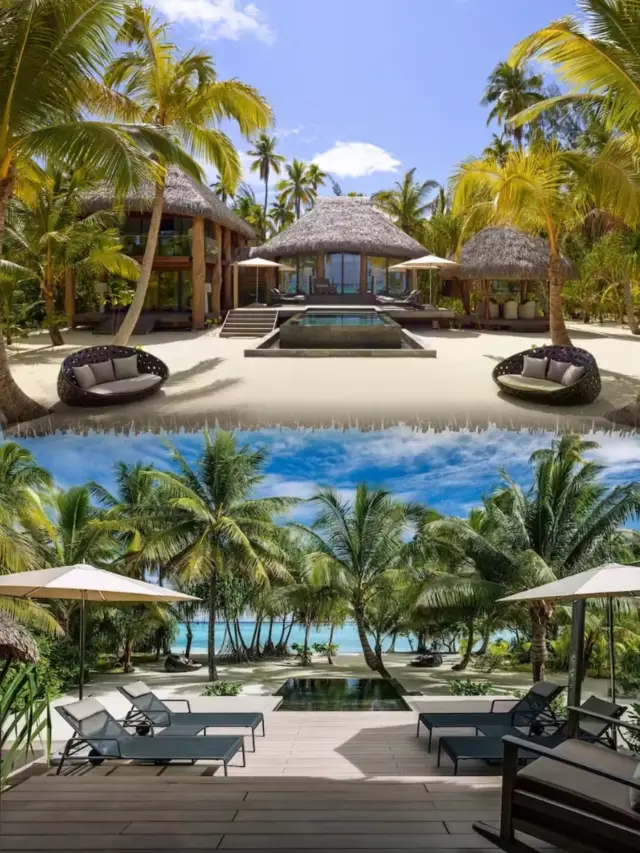 타히티 브랜도 호텔, 테티아로아 섬의 아름다운 경치를 독점하세요