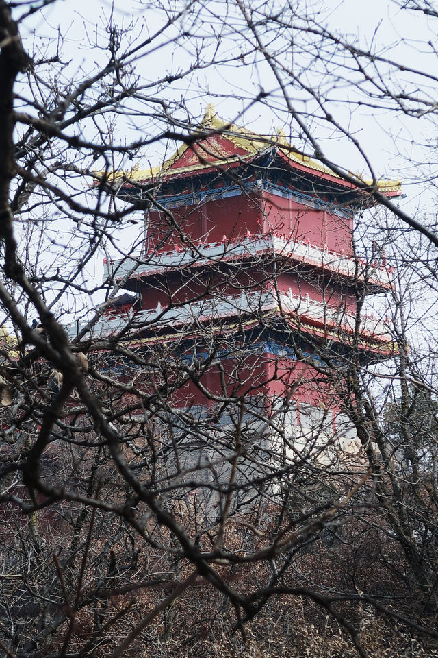 關於南五台的 plog｜「登山去，徒開心。」