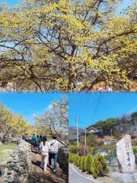 小白必看！韓國利川，必去之地