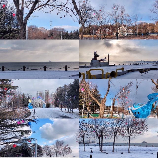 冬日清晨，在海邊虞美人廣場踏雪