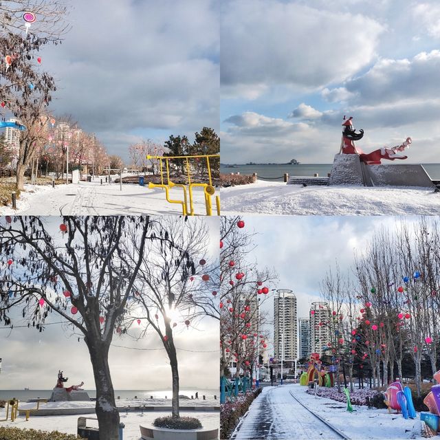 冬日清晨，在海邊虞美人廣場踏雪