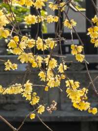 黃家花園舊址
