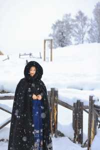 新疆禾木｜落雪成詩，芳華盡收
