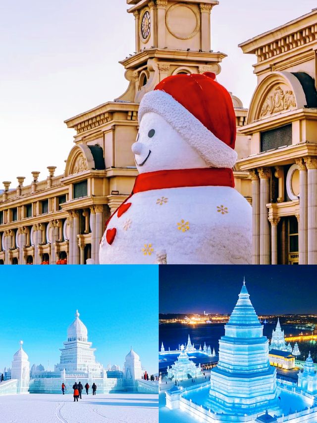 一首《下雪哈爾濱》，南方土豆就凍成了狗