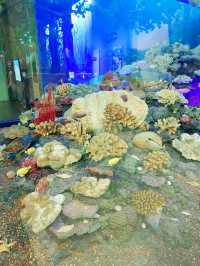 浙江自然博物館②  豐富奇異的生物世界