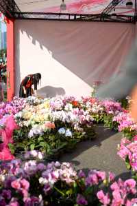 佛山陳村迎春花市｜逛花市過大年