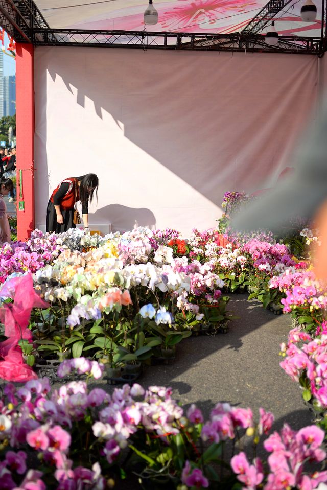 佛山陳村迎春花市｜逛花市過大年