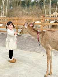 成都出發1h ｜餵奶牛餵小動物 遛娃…