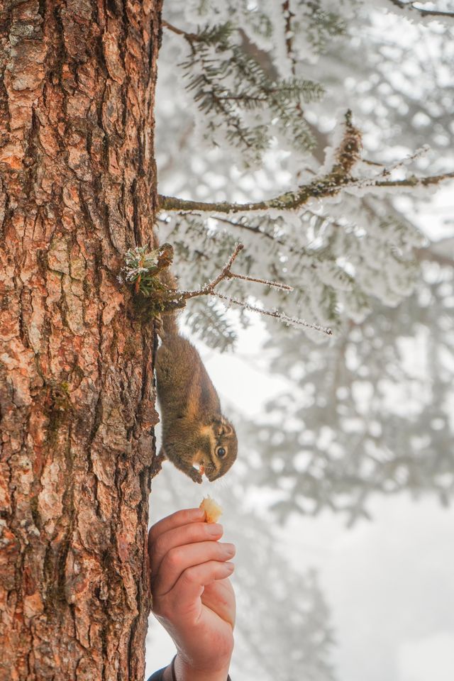 被低估嘅冰雪王國（瓦屋山）
