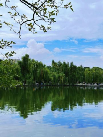 春節暢遊昆明-西雙版納-普洱 6日精選行程建議