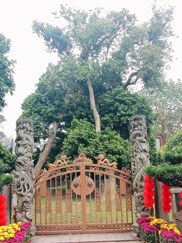 六祖故里，禪意名城