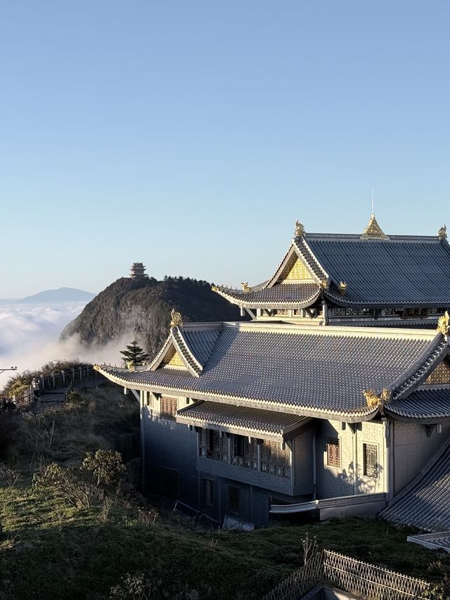 峨眉山-樂山-都江堰帶娃尋熊貓超全旅遊攻略