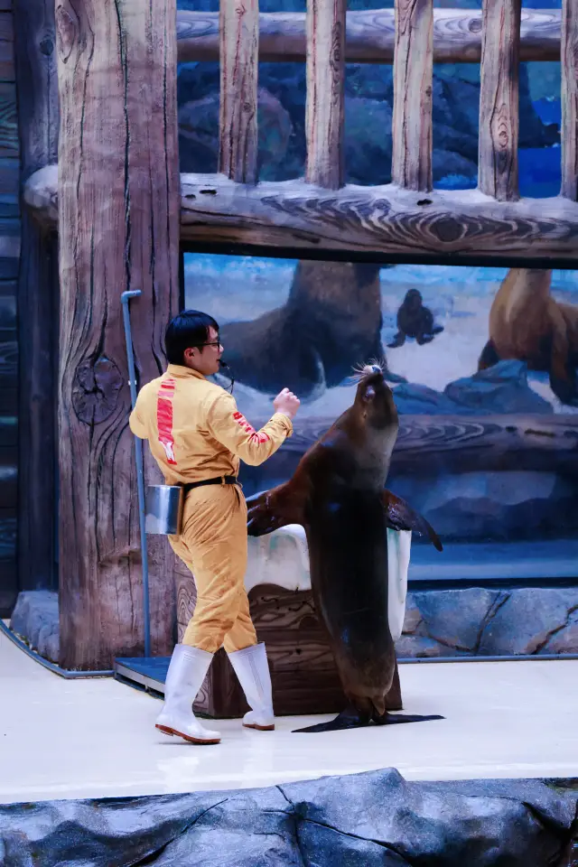 2025最新舟山長喬海洋&雨林動物公園攻略